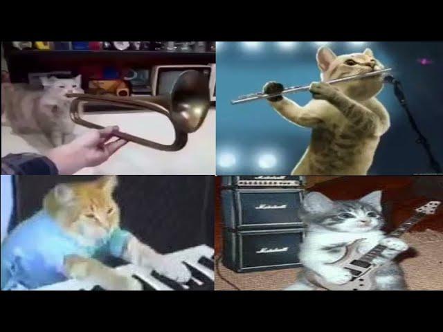 ballin by mustard but its played by cats