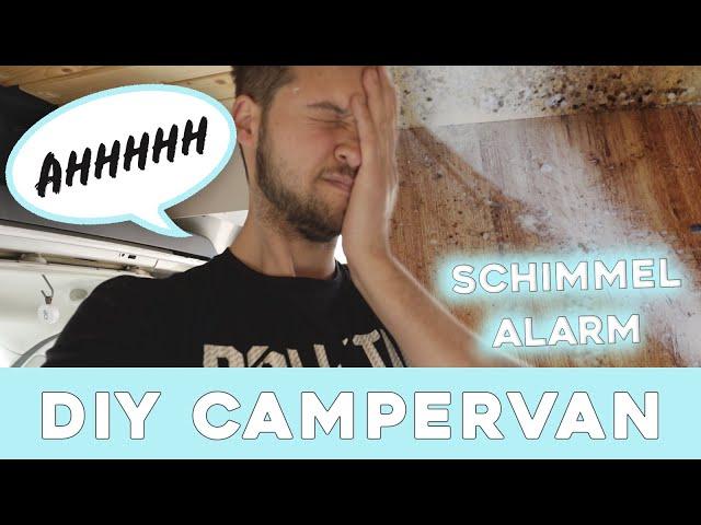 SCHIMMEL im DIY CAMPERVAN  Wir bauen wieder! Dometic Kompressor Kühlschrank️