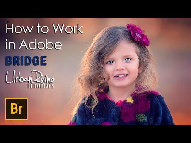 How to Work in Adobe Bridge