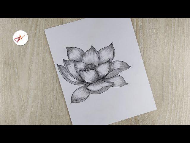 How to draw a realistic lotus flower | Pencil sketch drawing step by step