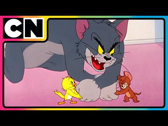 Tom and Jerry | The Duo of Destruction! | Compilation | Cat and Mouse Cartoon | @cnindia