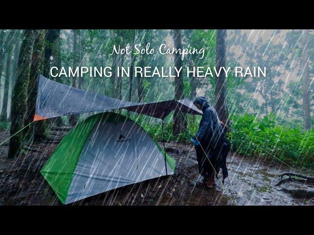 NOT SOLO CAMPING • CAMPING IN HEAVY RAIN, THE TENT ALMOST FLOODED • RELAXING RAIN SOUND • ASMR