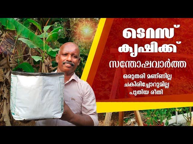 ടെറസ് കൃഷിക്ക് ഒരു സന്തോഷവാർത്ത | Terrace Cultivation | Different Type Of Growbag Cultivation