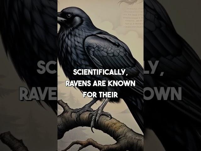 Ravens: Myths & Truths Revealed 