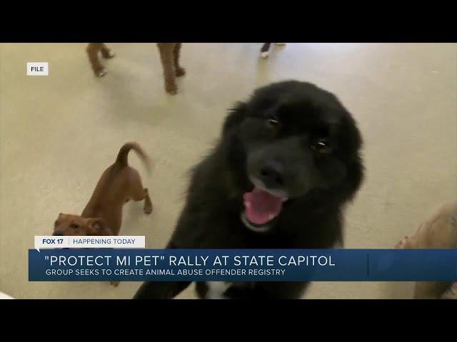 Protect MI Pet rallying to get animal abuse registry on 2024 ballot