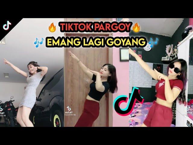 KUMPULAN TIKTOK PARGOY EMANG LAGI GOYANG VIRAL !!!