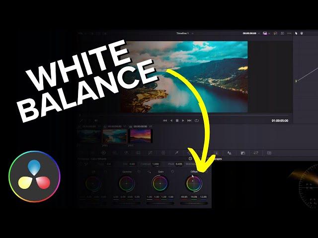 How to Fix White Balance in DaVinci Resolve