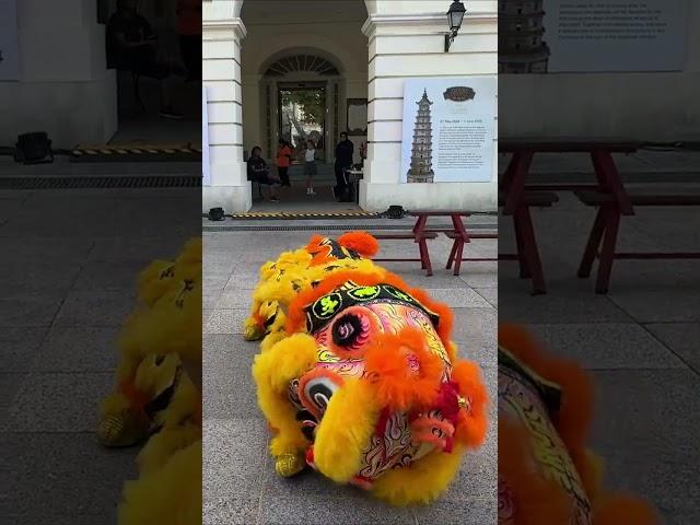 Yiwei Lion Dance Performance