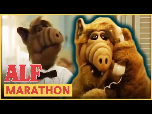 ALF Is a Working Man | ALF | FULL Episode Marathon