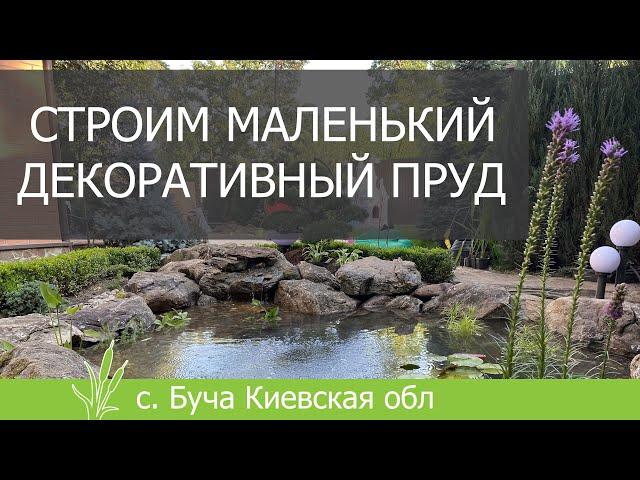 Строим маленький декоративный пруд с карпами