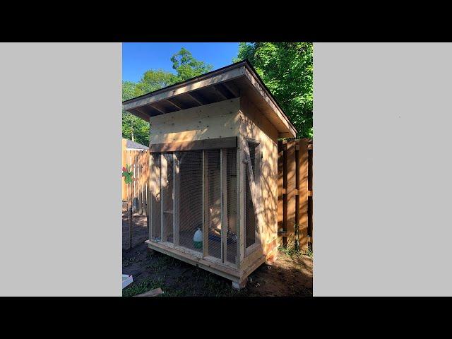 Building A Pigeon Loft