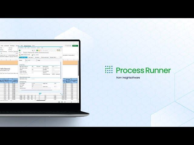 Process Runner: SAP Data Management and Excel-based Automation