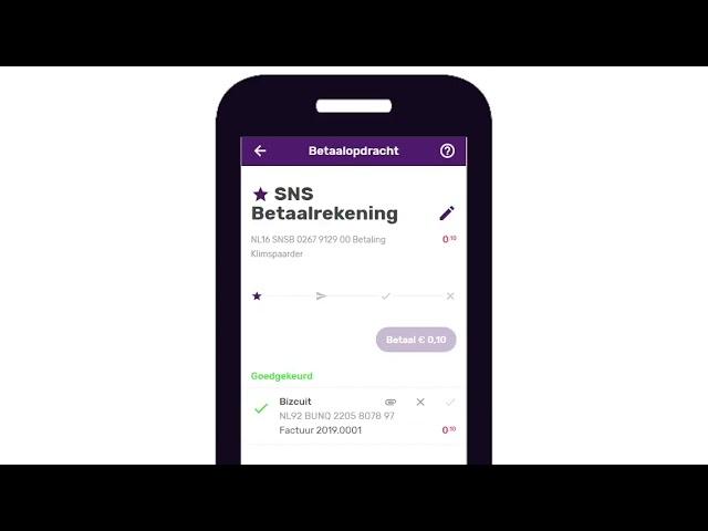 Bizcuit SNS Betalen via App
