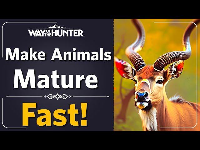 Get more 5 STARS FASTER  and SAVE  TIME - WAY OF THE HUNTER