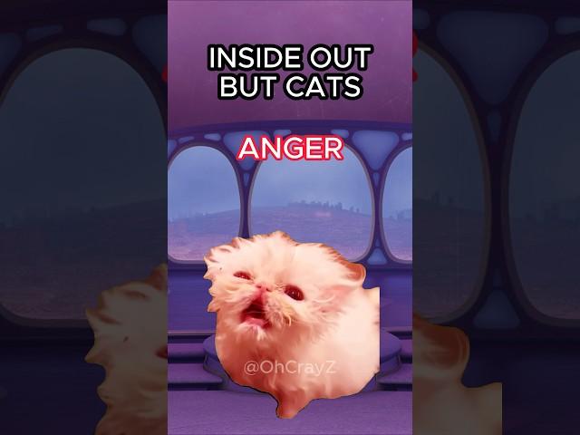 CAT MEMES  INSIDE OUT BUT CATS #cat #catlover #catvideos #insideout #shorts