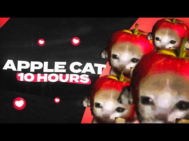 Apple Cat Running 10 Hours