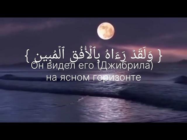 Сура 81« Ат-Таквир»/Махди Аш Шишани #Коран #Quran #чтениекорана #quranlisten