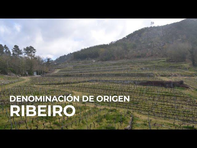 Spanish Wine Regions: Ribeiro