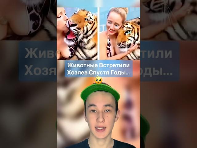 Животные Которые Встретились со Своими Хозяевами Спустя Много Лет! #shorts #животные  #обезьяна