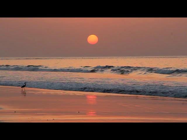 Sunset di tepi pantai No Copyright video