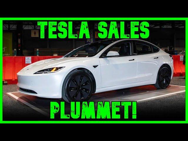 Tesla Sales ABSOLUTELY TANK Worldwide | The Kyle Kulinski Show