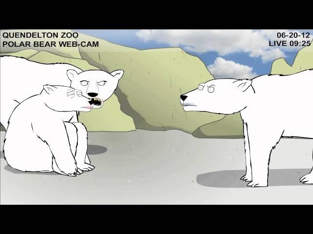 Teen Polar Bear Cam