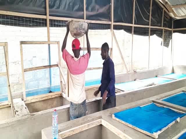 Prepering 24pen for Snail farming in Accra