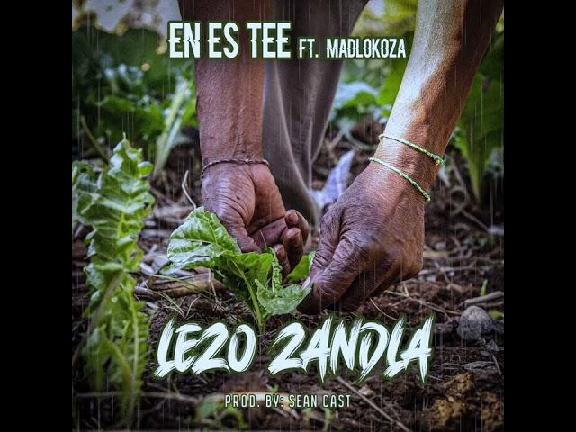 EN ES TEE- Lezo zandla ft Madlokoza (Visualizer)