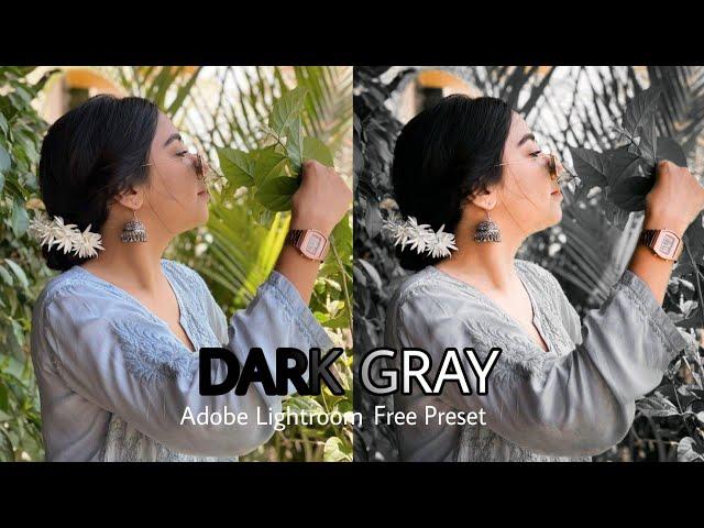 Dark Gray tone by Lightroom.Lightroom Professional Mobile Photo Editing Tutorial. Lightroom Preset.