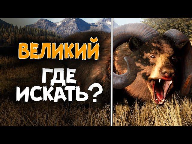 theHunter Call of the Wild - ВЕЛИКИЙ - ГАЙД