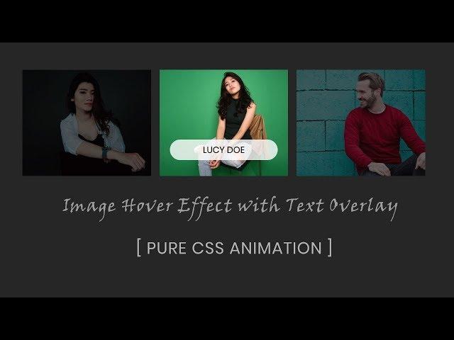 Image hover effect with text overlay | CSS Image Hover Effects