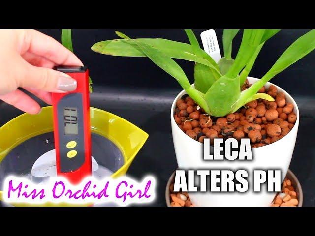 LECA alters pH - Possible solutions for Orchids in semi hydroponics