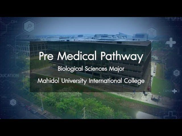 Pre Medical Pathway | MU Link