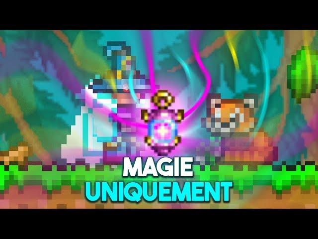 Peut-on finir TERRARIA Uniquement avec de la MAGIE ?