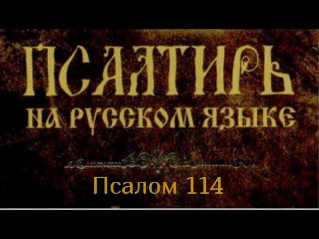 Псалом 114. Я радуюсь, что Господь услышал голос мой, моление мое; приклонил ко мне ухо Свое..