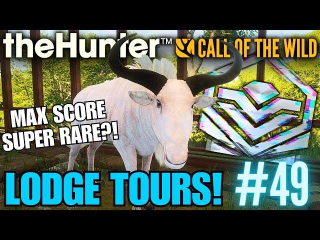 Are These Great Ones & Super Rares REAL OR MODDED?!  Trophy Lodge Tours! | Call of the Wild