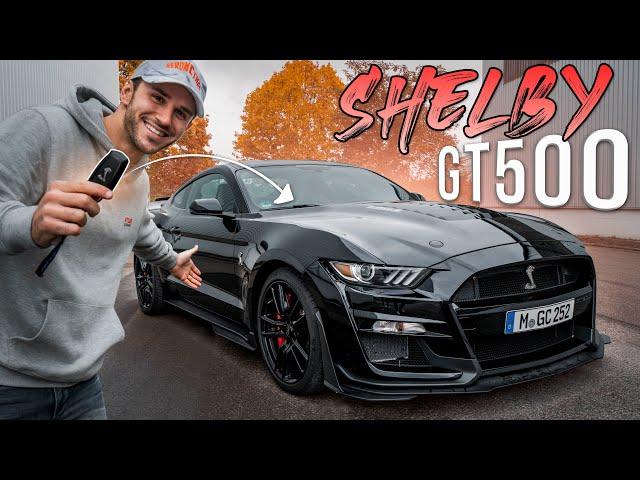 760PS SHELBY GT500 | Brutale V8-Power im Ford Mustang! | Daniel Abt