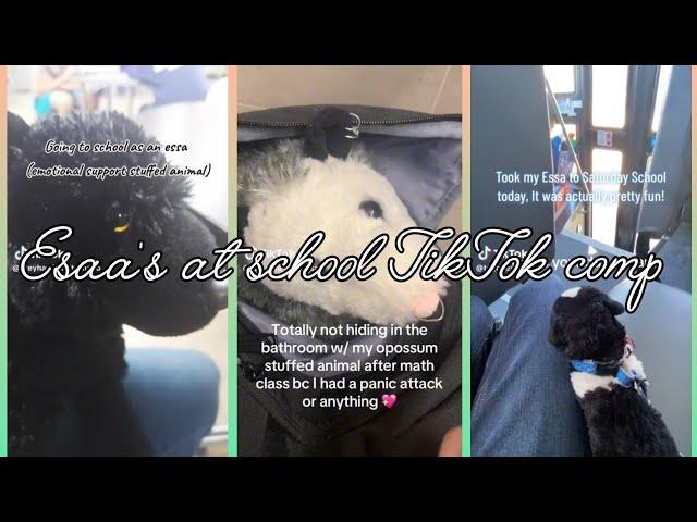 Essa's at school TikTok comp | none are mine | credits to original owners @Luna_The_Alsatian