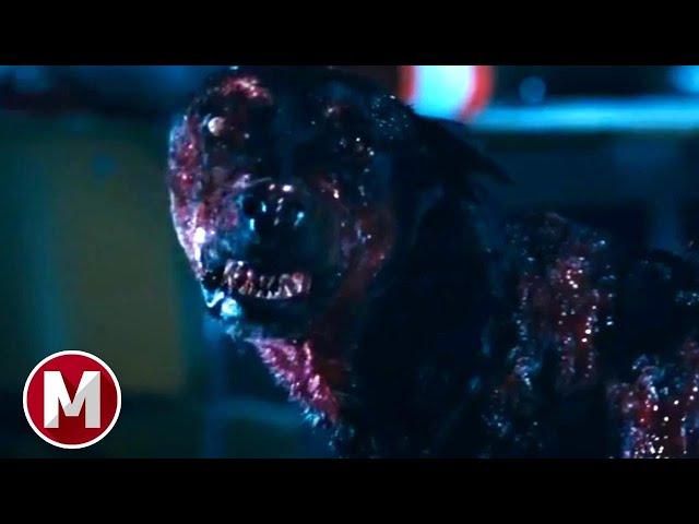 Resident Evil: Apocalypse (2004) - Zombie Dog Attack Scene