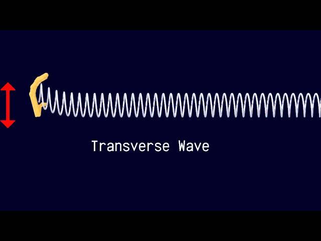 Longitudinal and Transverse Waves