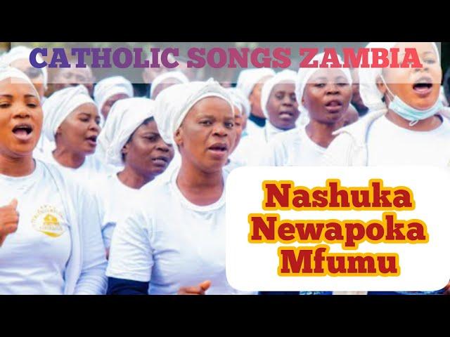 Newapoka mfumu_Catholic best Zambian songs (official audio) #catholicsongs