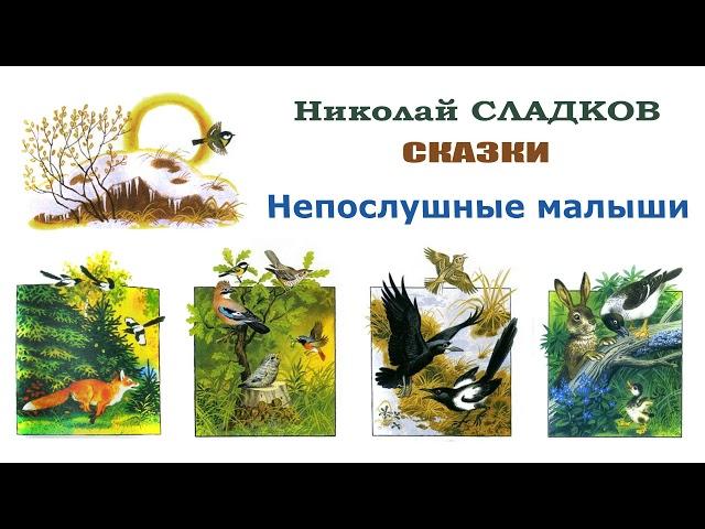 Николай Сладков "Непослушные малыши" - Сказки Сладкова - Слушать