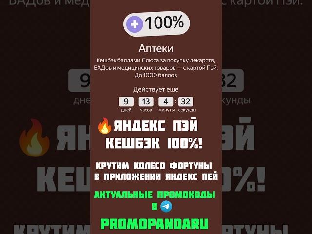 Яндекс Пэй  кешбэк 100%!