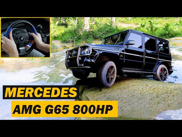 Mercedes-Benz G65 AMG Forza Horizon 5 Steering Wheel + Shifter (UHD) [4K60FPS] Gameplay