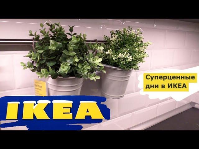 ИКЕАВАМ ЭТО ТОЧНО ПОНРАВИТСЯВОТ ЭТО ОСЕНЬВОТ ЭТО IKEA!Обзор магазина/Kseniya Kresh