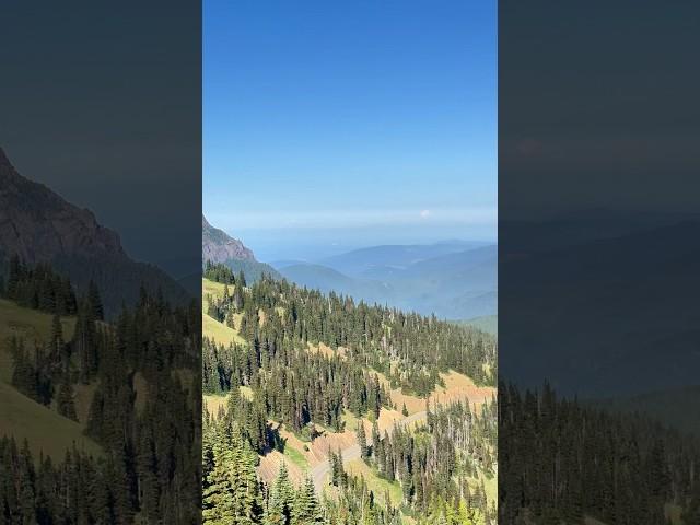 Peak Experiences: Exploring Hurricane Ridge, Olympic National Park