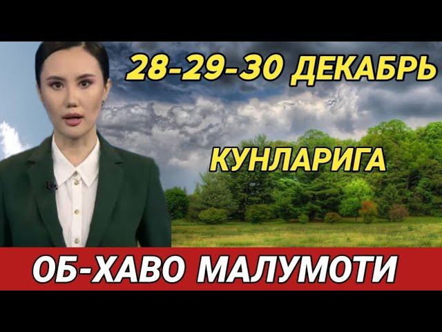 28-29-30 ДЕКАБРЬ КУНЛАРИ УЧУН ОБ ХАВО МАЛУМОТИ, ob havo.