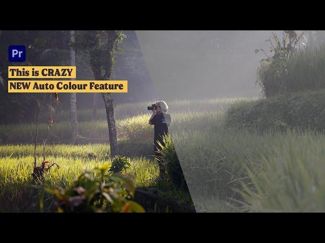 Premiere Pro Color Grading 2024 - NEW AUTO COLOR FEATURE