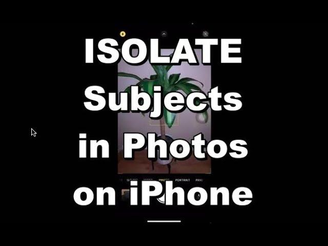 Isolate Subject From a Photo on an iPhone IOS 16