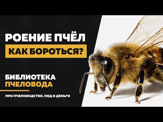 Как предотвратить роение пчел – признаки и методы